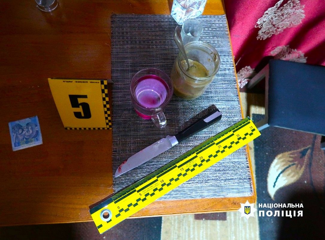 На Прикарпатті судитимуть чоловіка, який вдарив ножем свого приятеля