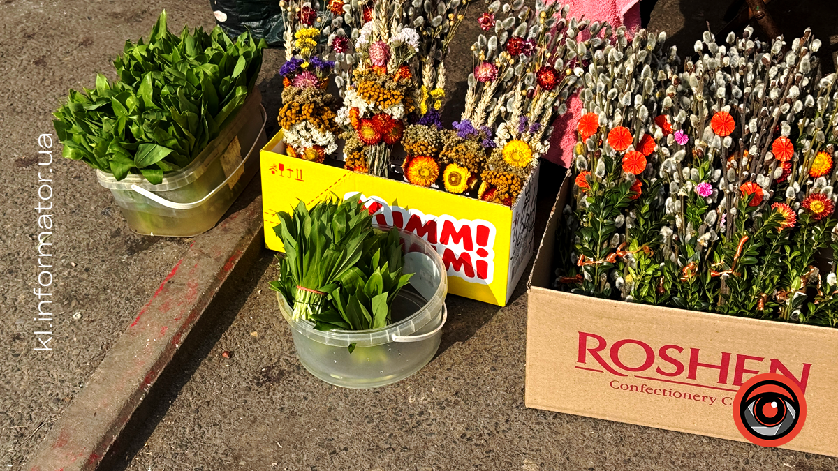 Скільки коштує червонокнижна черемша на ринку в Коломиї 1