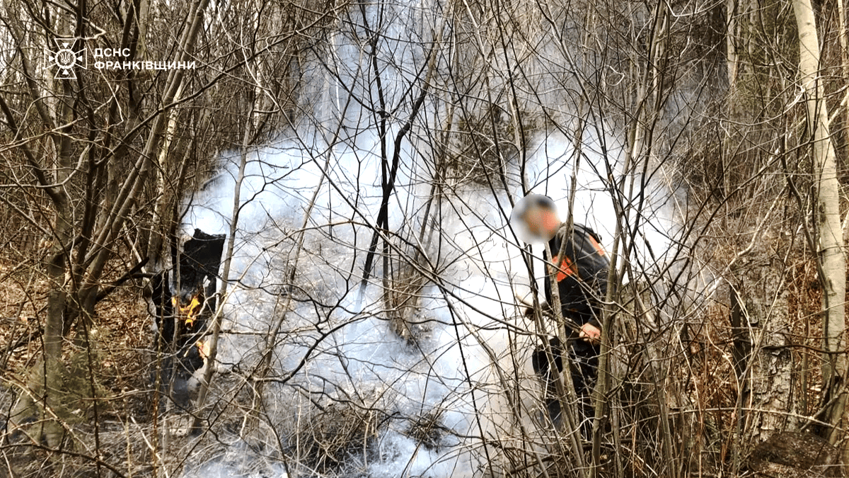 Рейдові групи оштрафували ще чотирьох паліїв сухої рослинності 1