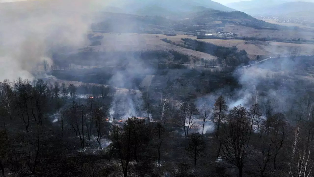 Масштабні пожежі по всій області: знову горить суха трава 1