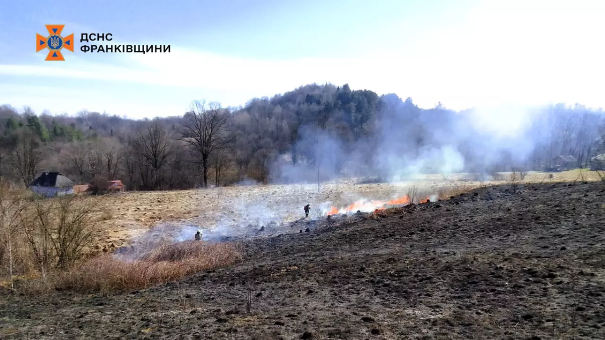 Масштабні пожежі по всій області: знову горить суха трава 2