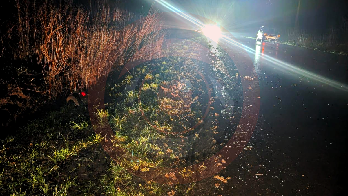 Вночі на Коломийщині позашляховик злетів у кювет. Постраждали двоє людей 1