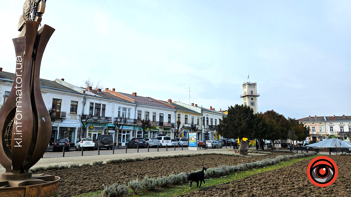 Морозні ранки та сонячні дні: якою була Коломия в лютому. Фоторепортаж 5