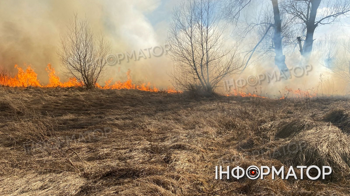 У Коломиї палають сухі трави 1