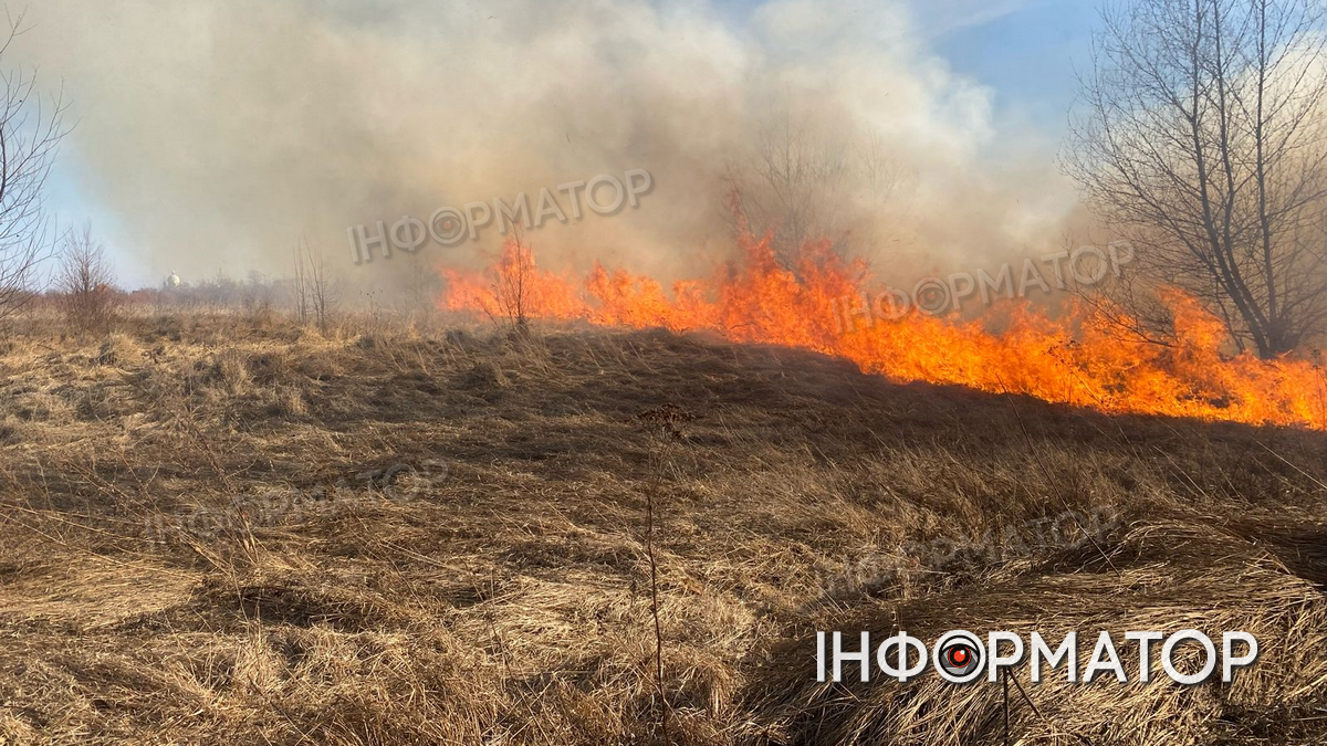 У Коломиї палають сухі трави 2