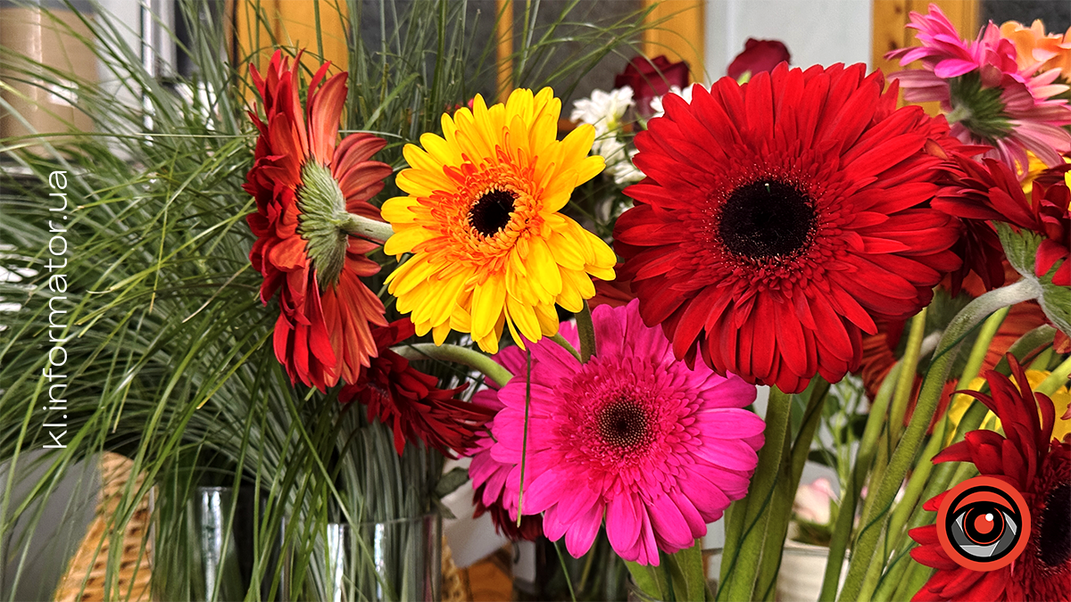 Тюльпани, троянди та хризантеми: скільки вартують квіти у Коломиї перед 8 березня 11