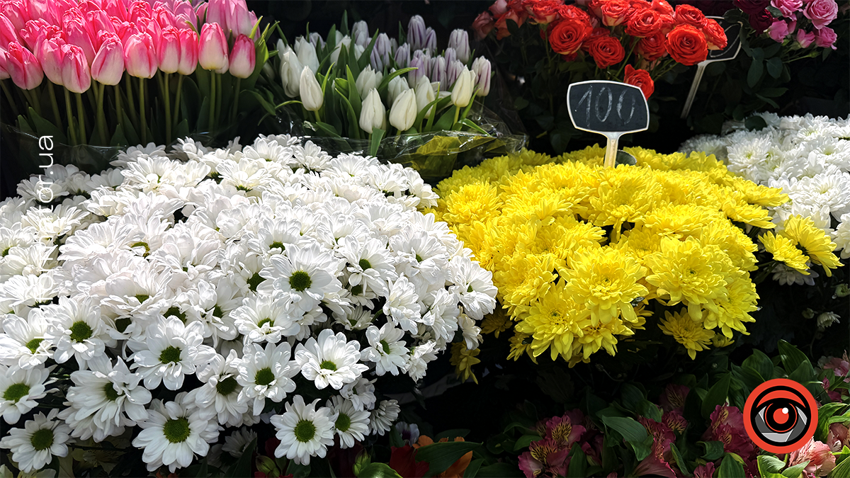 Тюльпани, троянди та хризантеми: скільки вартують квіти у Коломиї перед 8 березня 5