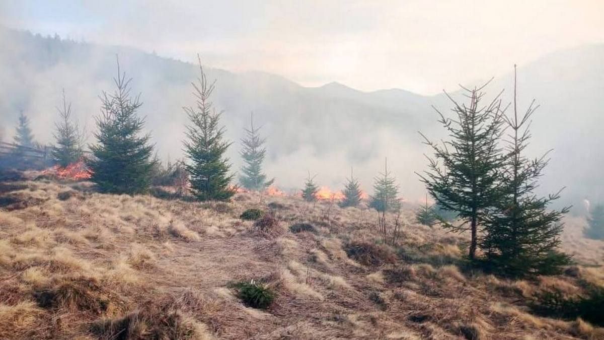 На Тлумаччині в пожежі сухостою загинула жінка 2
