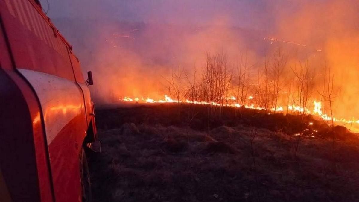 На Тлумаччині в пожежі сухостою загинула жінка 1