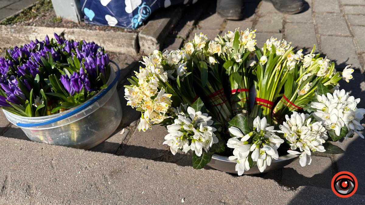 Скільки коштують первоцвіти у Коломиї 8 березня? 1