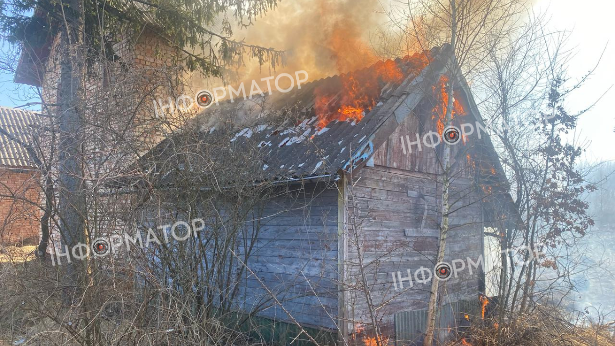 На Прикарпатті палає сухостій та землі лісів 1