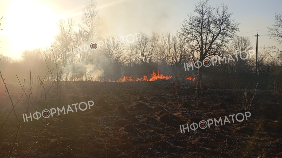 На Прикарпатті палає сухостій та землі лісів 2