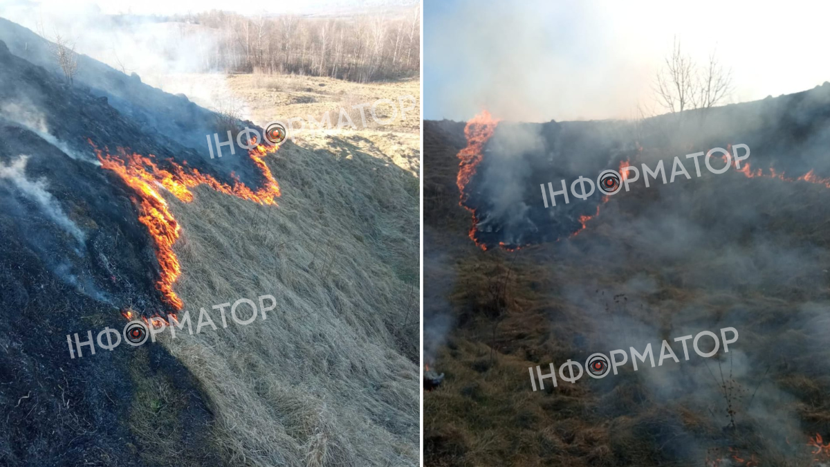 На Прикарпатті палає сухостій та землі лісів 3