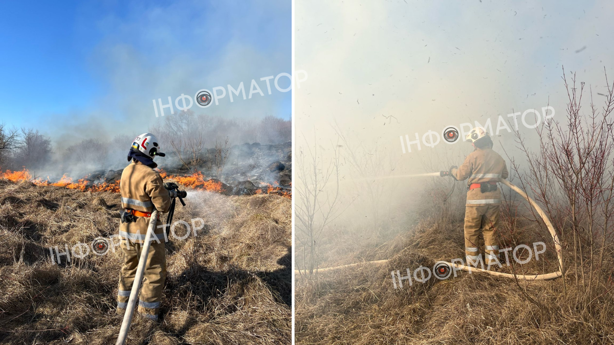 На Прикарпатті палає сухостій та землі лісів 4
