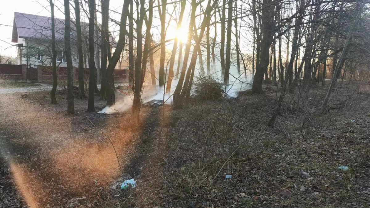 За 22 березня на Прикарпатті загасили 92 пожежі сухої трави та виявили 17 паліїв 2