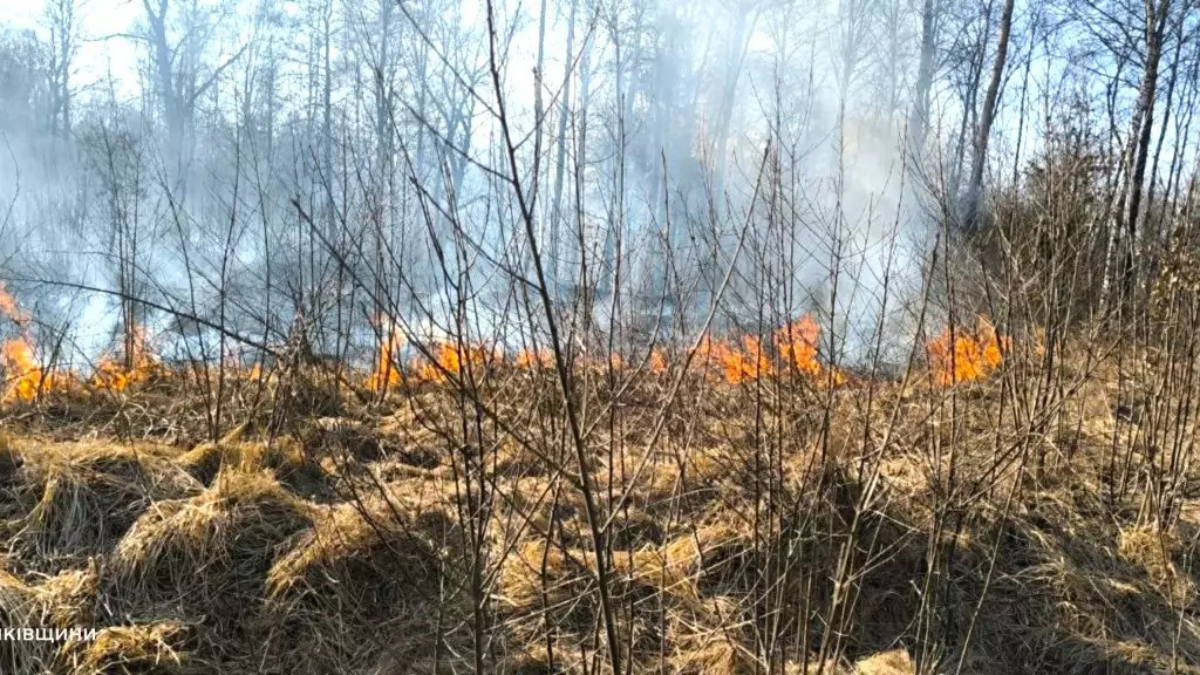 За 22 березня на Прикарпатті загасили 92 пожежі сухої трави та виявили 17 паліїв 1