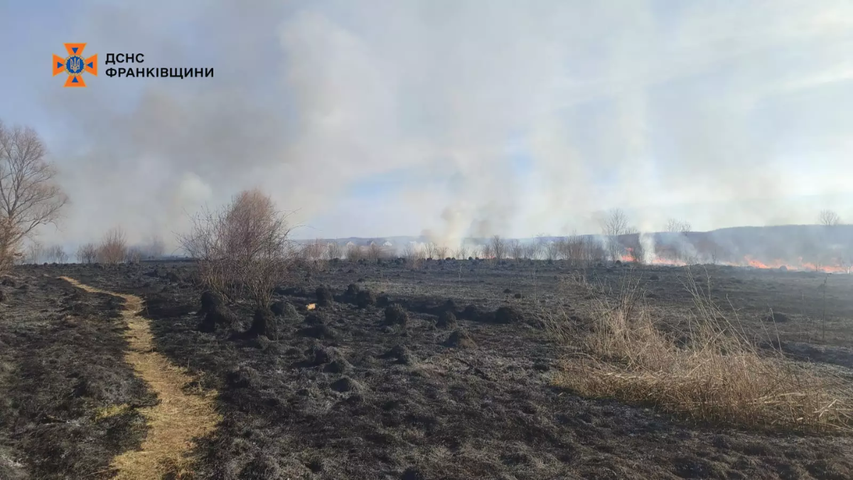 На Прикарпатті не вщухають пожежі сухої трави 1