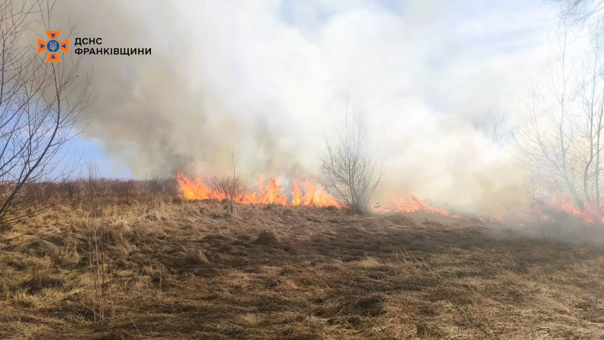 На Прикарпатті не вщухають пожежі сухої трави 2