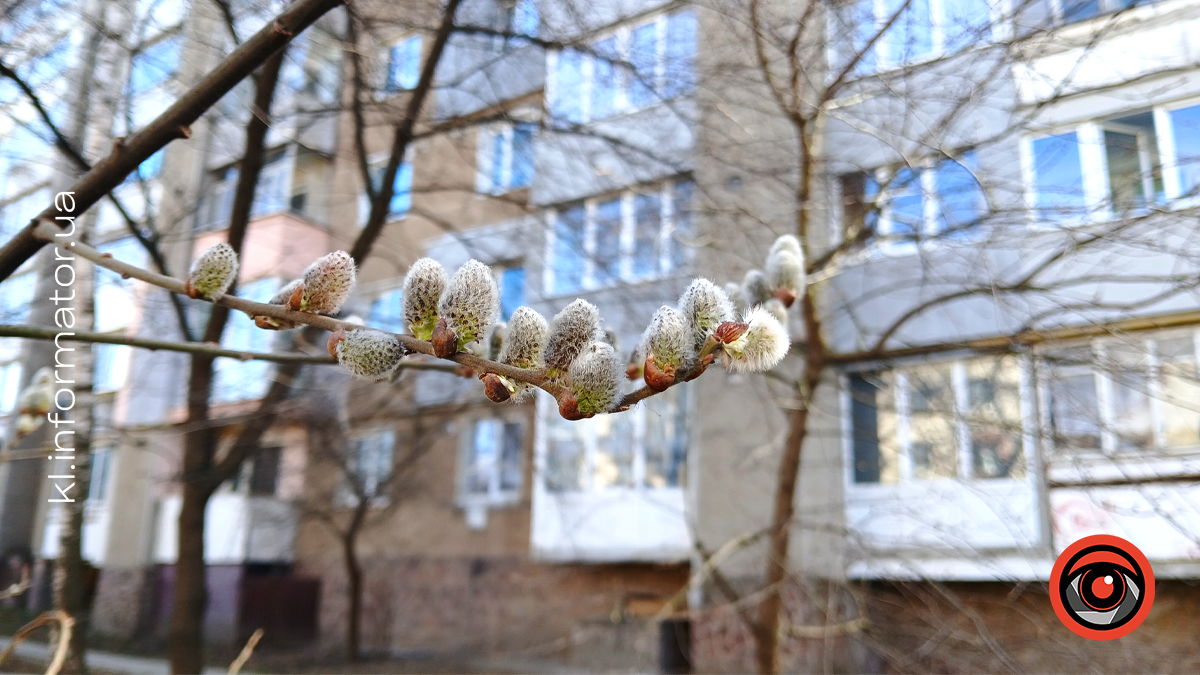 Перші теплі промені сонця: фоторепортаж березневої Коломиї 6