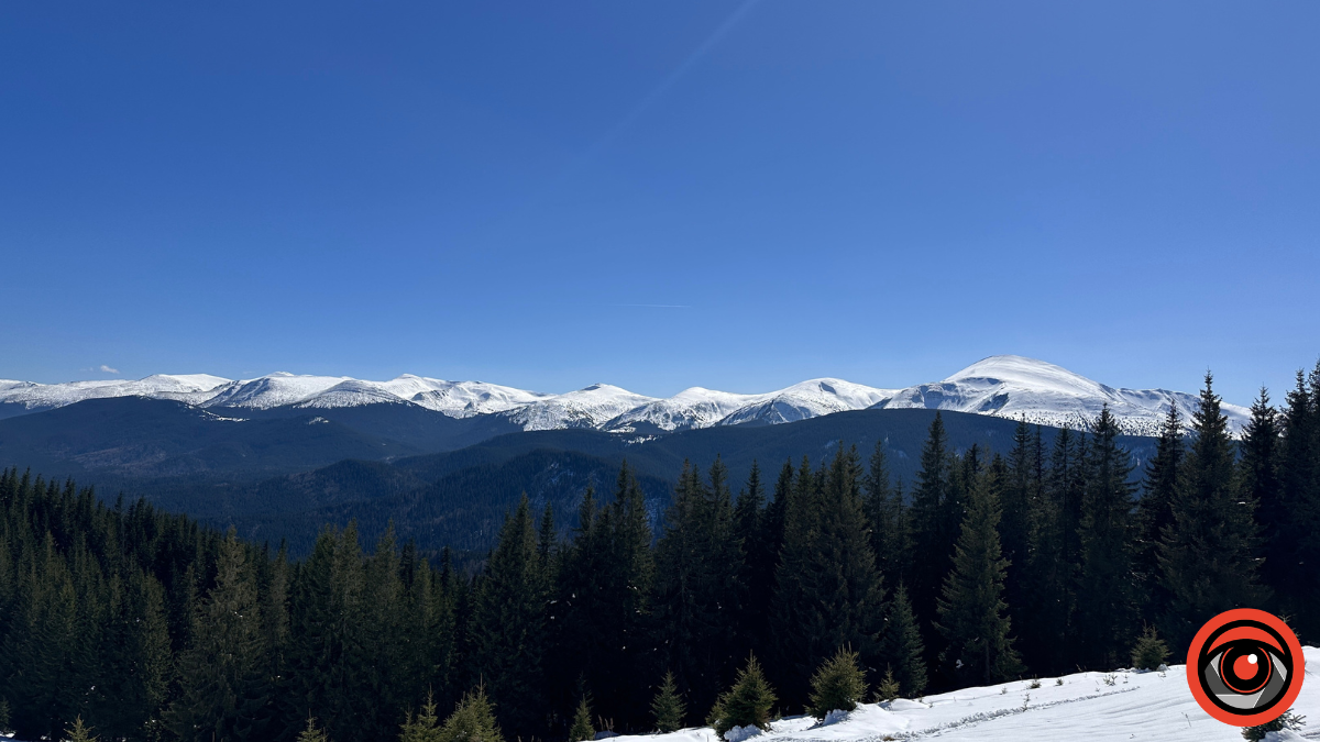 Крокуси, сніг та краса високогір'я: фоторепортаж з Карпат 2