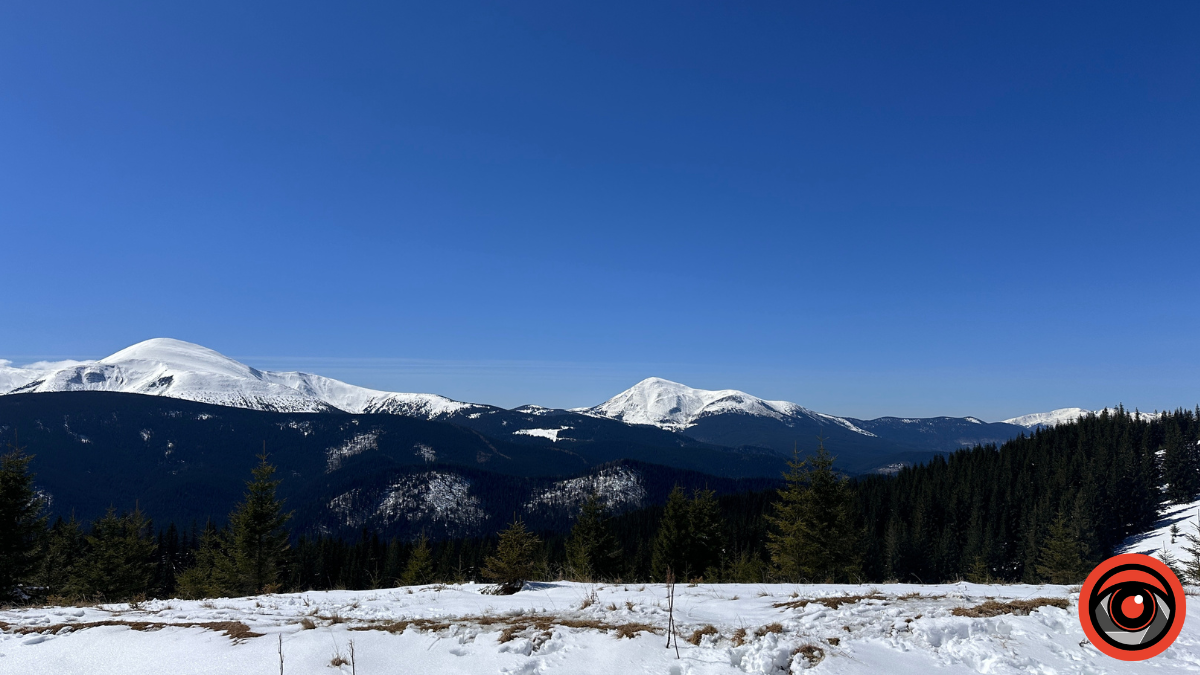 Крокуси, сніг та краса високогір'я: фоторепортаж з Карпат 3