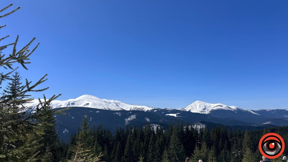 Крокуси, сніг та краса високогір'я: фоторепортаж з Карпат 11