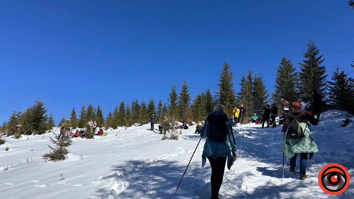 Крокуси, сніг та краса високогір'я: фоторепортаж з Карпат 13