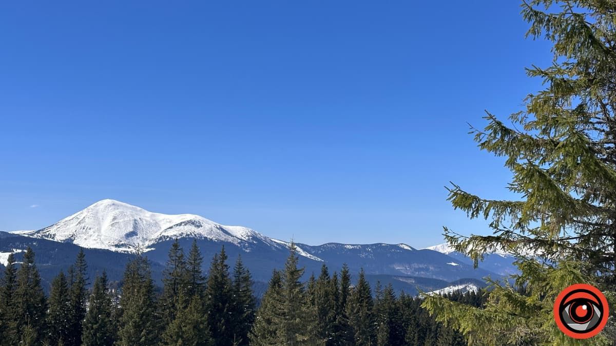 Крокуси, сніг та краса високогір'я: фоторепортаж з Карпат 15