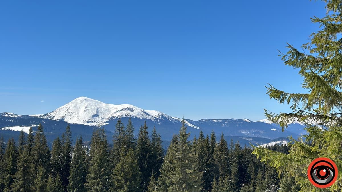 Крокуси, сніг та краса високогір'я: фоторепортаж з Карпат 16