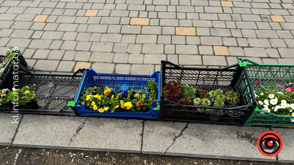 Яка вартість лампадок, свічок та квітів для кладовища у Коломиї 7