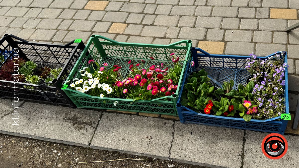 Яка вартість лампадок, свічок та квітів для кладовища у Коломиї 6