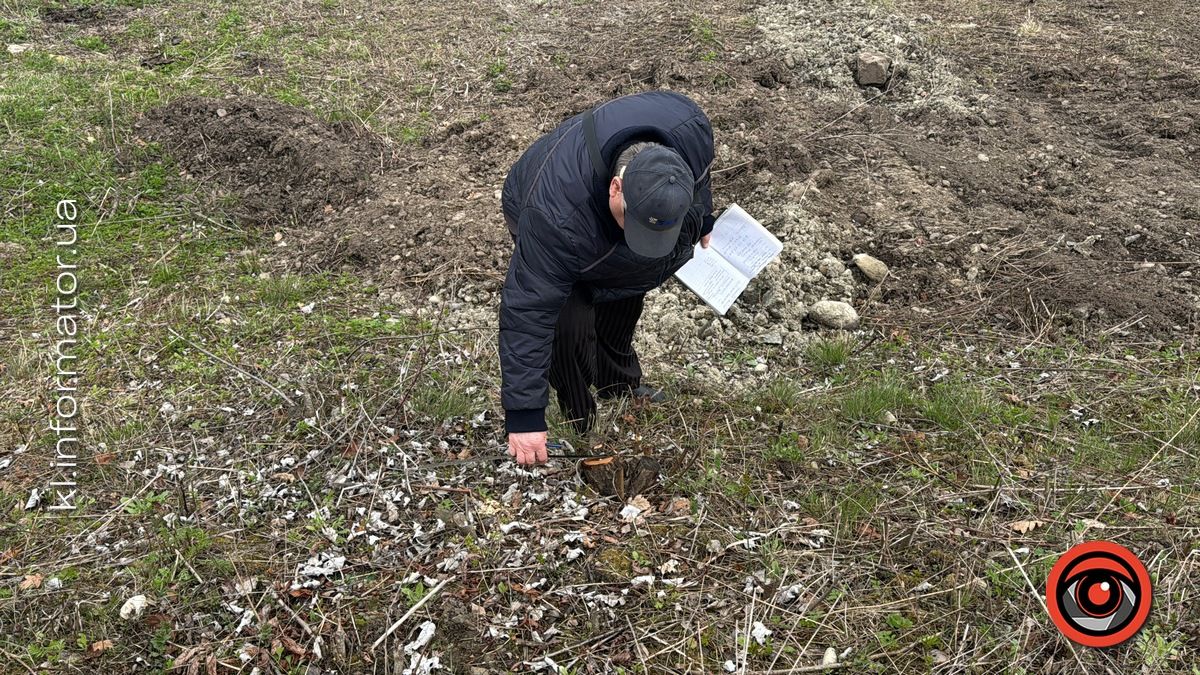 Щодо масової вирубки дерев на Шевченківському озері Коломиї організація "Зелений світ" звернулась до прокуратури 13