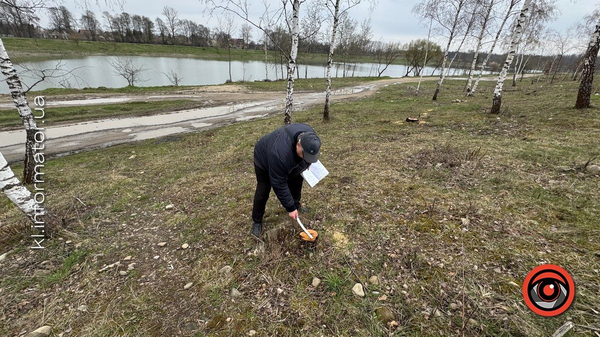 Щодо масової вирубки дерев на Шевченківському озері Коломиї організація "Зелений світ" звернулась до прокуратури 12