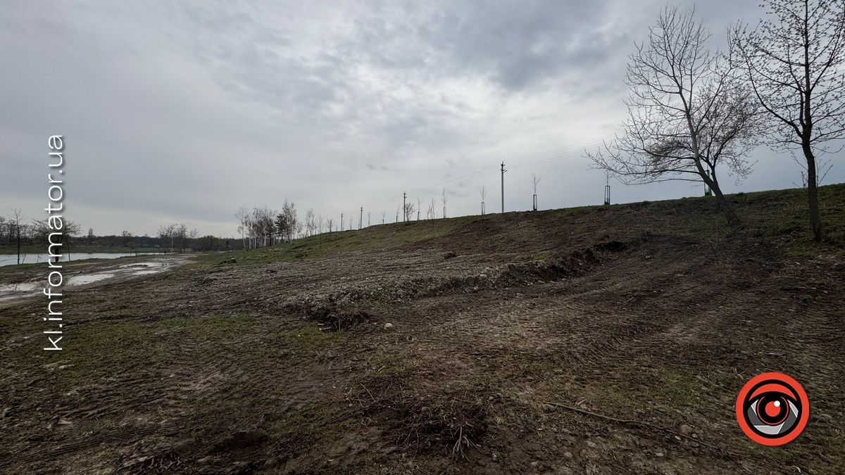 Щодо масової вирубки дерев на Шевченківському озері Коломиї організація "Зелений світ" звернулась до прокуратури 9