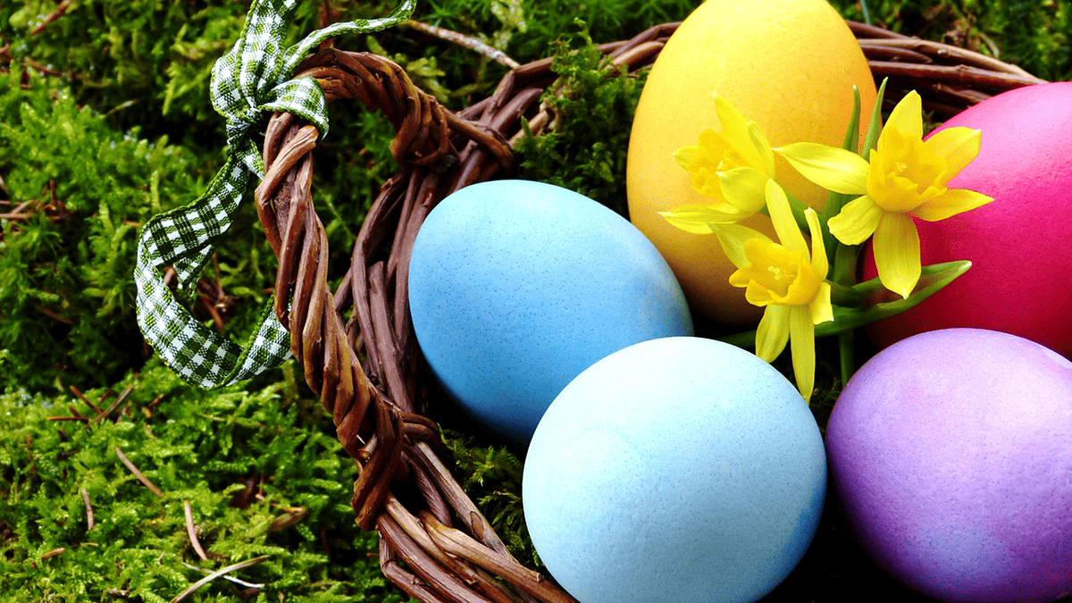 Чим відрізняються Великодні яйця: крашанки, писанки, дряпанки, крапанки та мотанки 1
