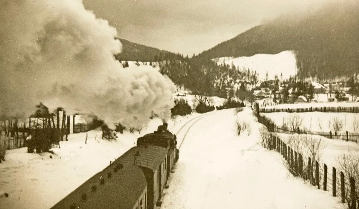 Залізниця, санаторії та карпатські легенди: історія курортного села Татарів 1