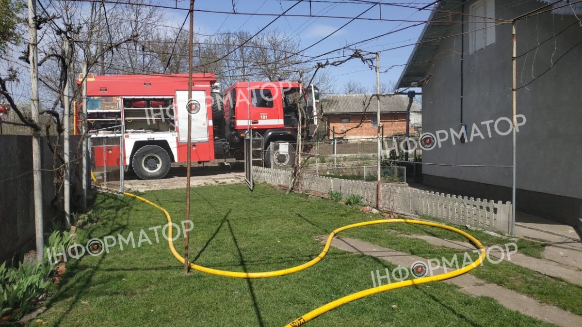 На Городенківщині під час пожежі надзвичайники врятували собаку 1