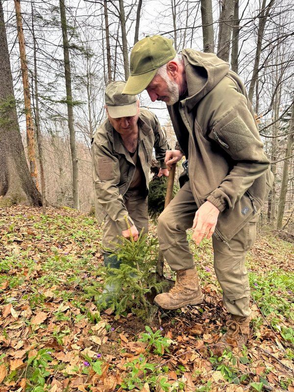 Відновлення Карпат: у горах Косівщини висадили 600 дерев 5