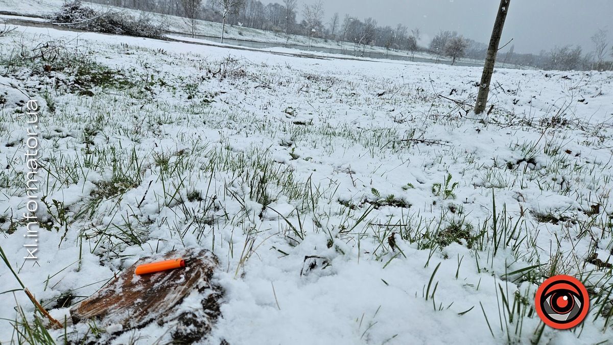 Мораторій на вирубку дерев - лише замилювання очей: на дамбі у Коломиї зрізали берези 8
