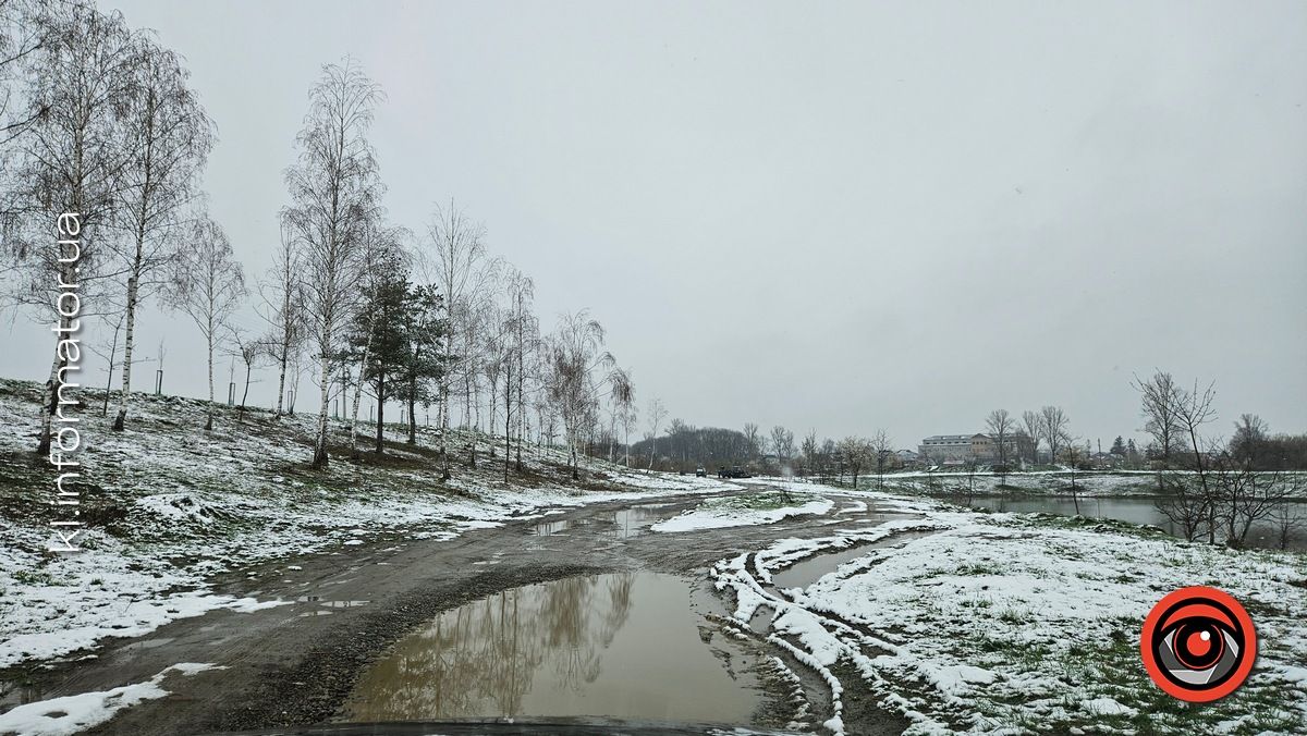 Мораторій на вирубку дерев - лише замилювання очей: на дамбі у Коломиї зрізали берези 15