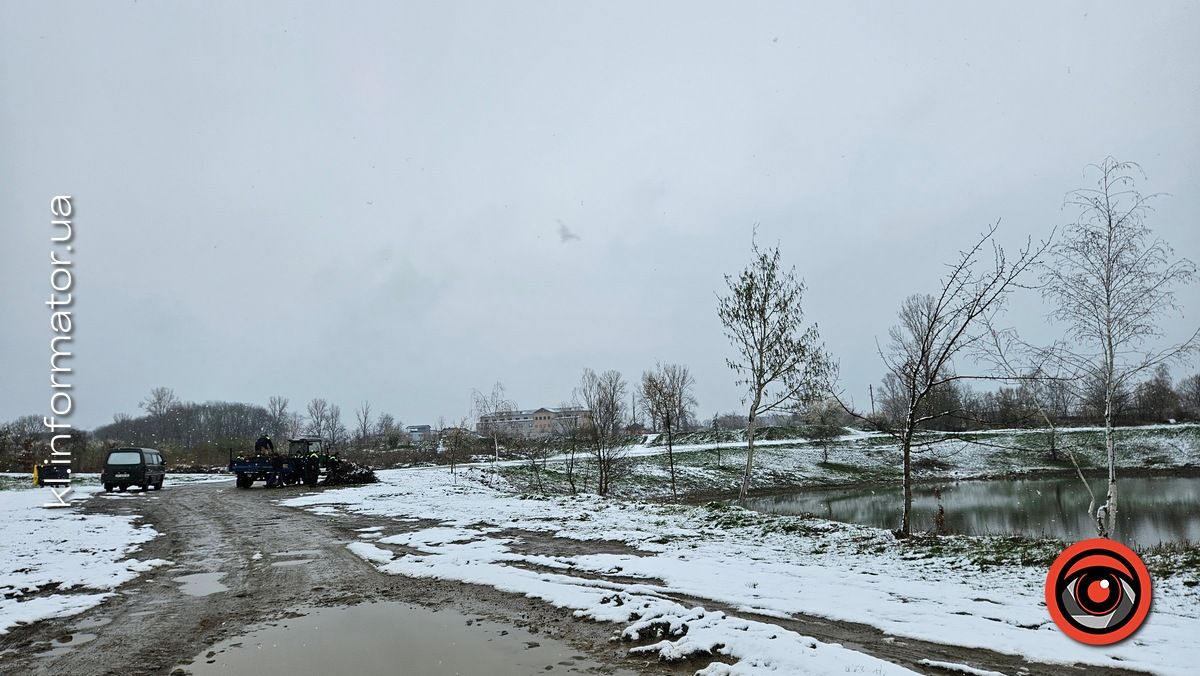 Мораторій на вирубку дерев - лише замилювання очей: на дамбі у Коломиї зрізали берези 11