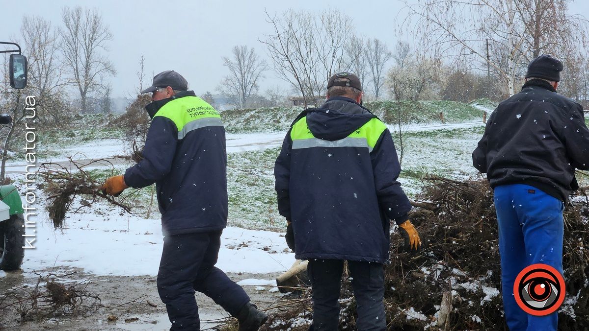 Мораторій на вирубку дерев - лише замилювання очей: на дамбі у Коломиї зрізали берези 22