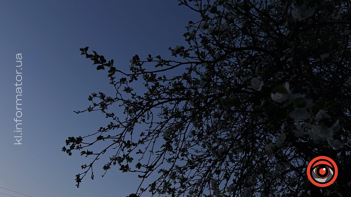 У світлі ліхтарів та ароматі весни: фоторепортаж вечірньої Коломиї 3