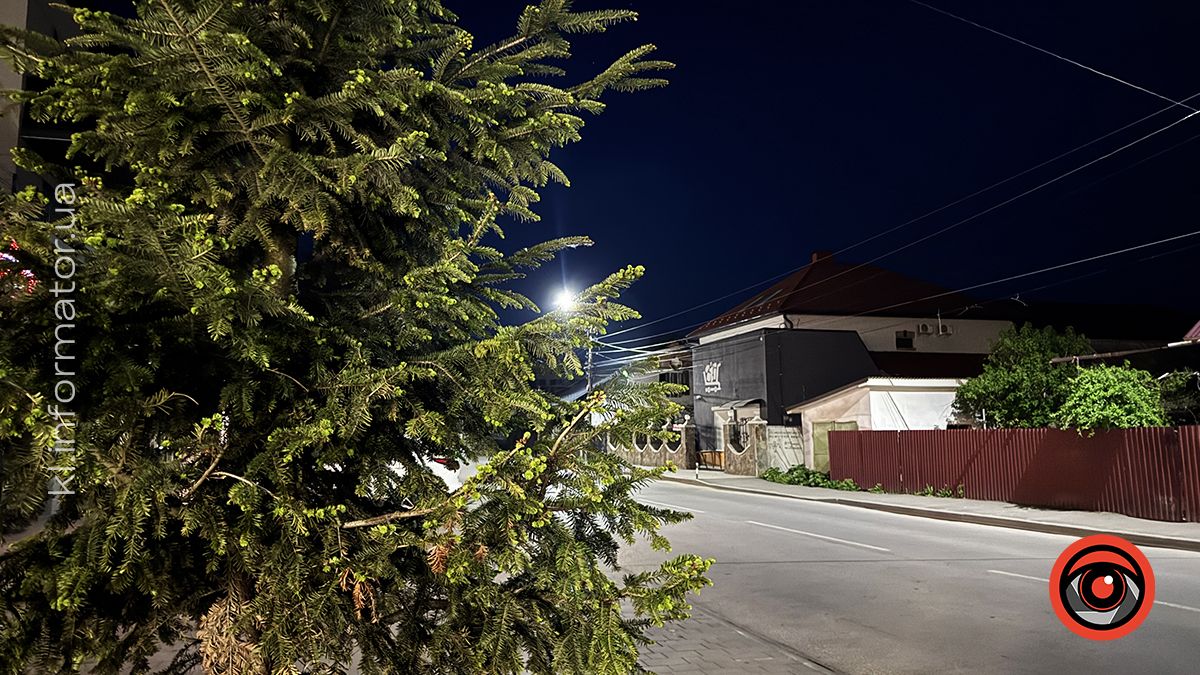 У світлі ліхтарів та ароматі весни: фоторепортаж вечірньої Коломиї 10