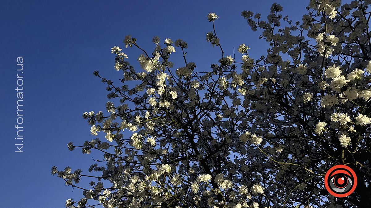 У світлі ліхтарів та ароматі весни: фоторепортаж вечірньої Коломиї 11