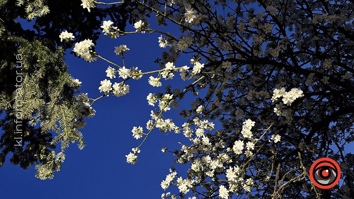 У світлі ліхтарів та ароматі весни: фоторепортаж вечірньої Коломиї 13