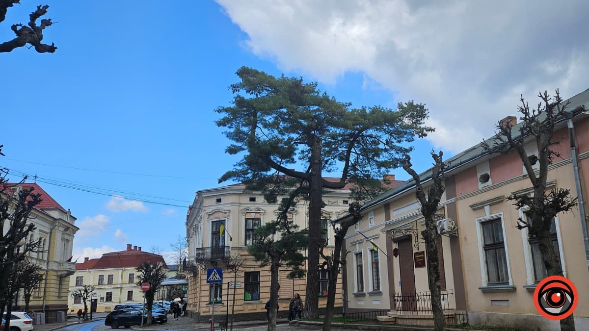 Актуальні вакансії в Коломиї 28 квітня