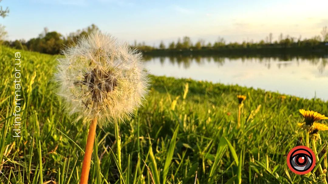 Сакури, сніг і сонце: фоторепортаж квітневої Коломиї 7