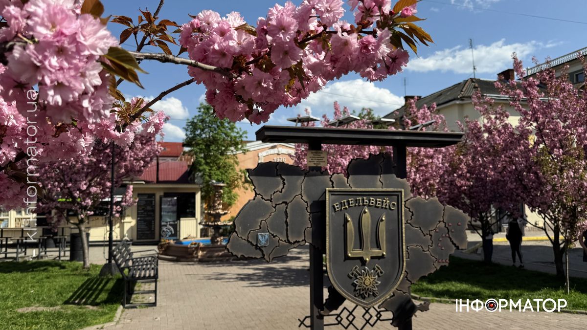 Сакури, сніг і сонце: фоторепортаж квітневої Коломиї 15