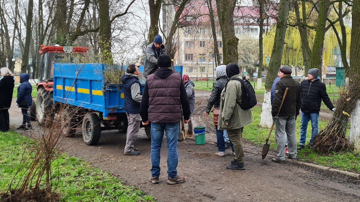 У міському парку Снятина висадили кілька сотень дерев 2